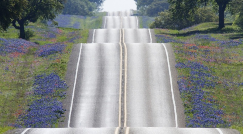 Open hilly road with purple wildflowers on either side